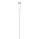 Cabo USB-C para Lightning (1 m)